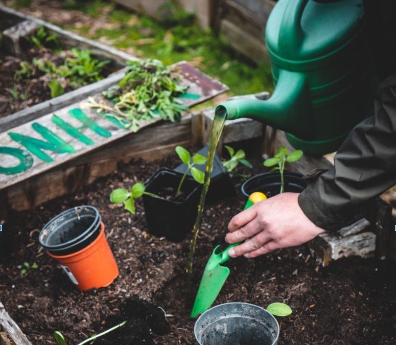 August giveback: center for ecoliteracy